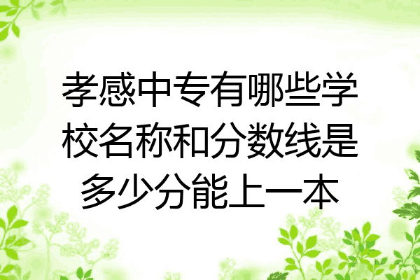 孝感中专有哪些学校名称和分数线是多少分能上一本