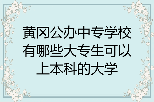黄冈公办中专学校有哪些大专生可以上本科的大学