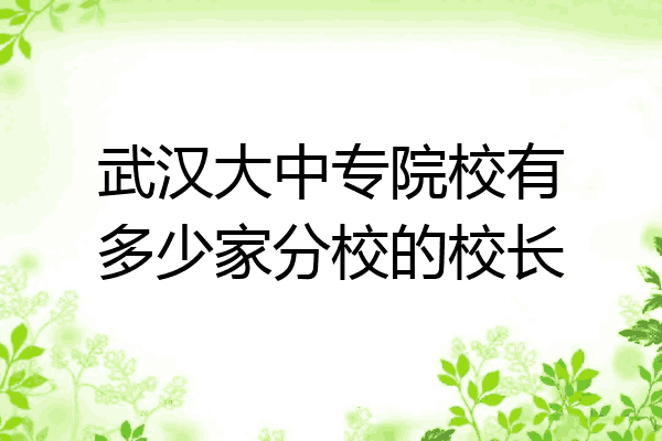 武汉大中专院校有多少家分校的校长