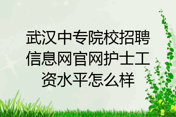 武汉中专院校招聘信息网官网护士工资水平怎么样
