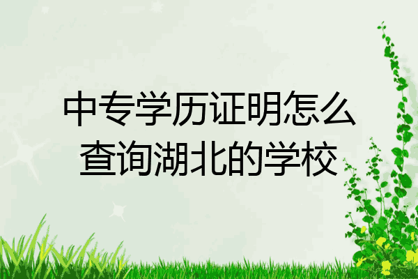 中专学历证明怎么查询湖北的学校
