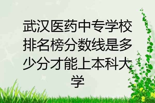 武汉医药中专学校排名榜分数线是多少分才能上本科大学