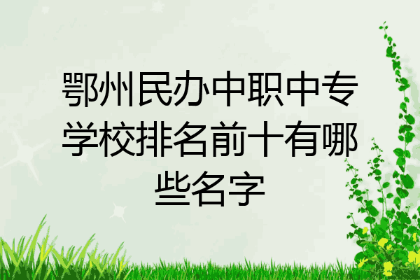 鄂州民办中职中专学校排名前十有哪些名字