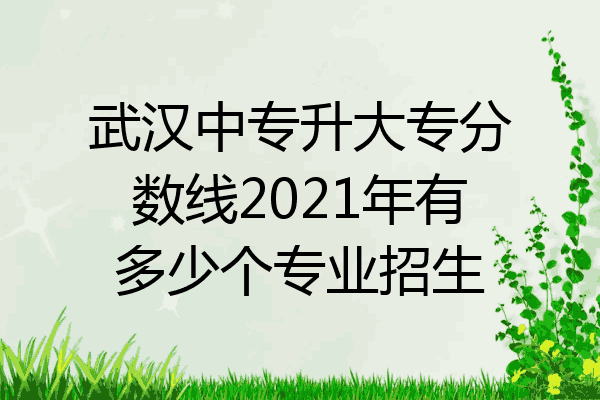 武汉中专升大专分数线2021年有多少个专业招生
