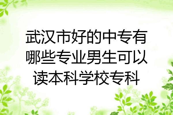 武汉市好的中专有哪些专业男生可以读本科学校专科