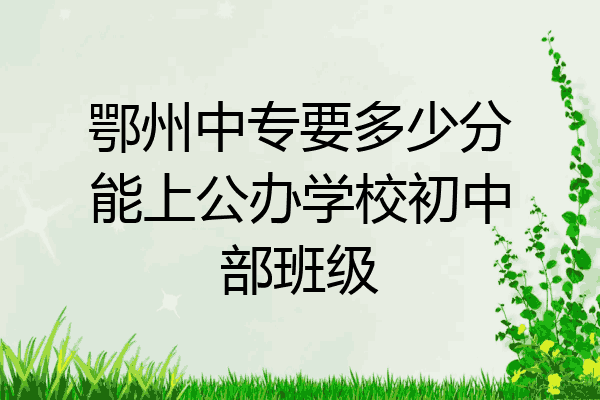 鄂州中专要多少分能上公办学校初中部班级