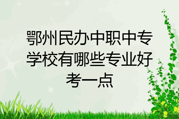 鄂州民办中职中专学校有哪些专业好考一点