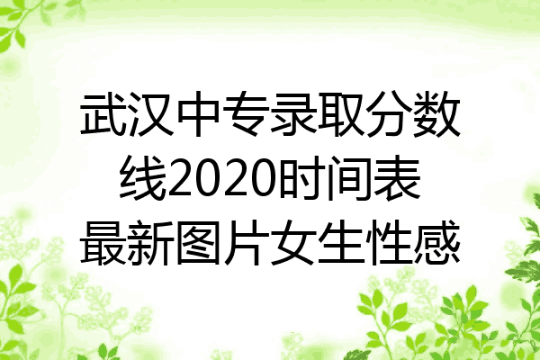 武汉中专录取分数线2020时间表最新图片女生性感