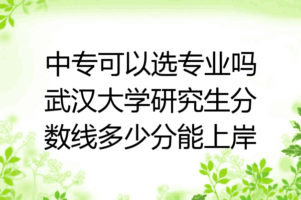 中专可以选专业吗武汉大学研究生分数线多少分能上岸