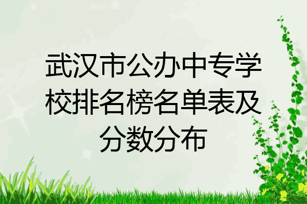 武汉市公办中专学校排名榜名单表及分数分布