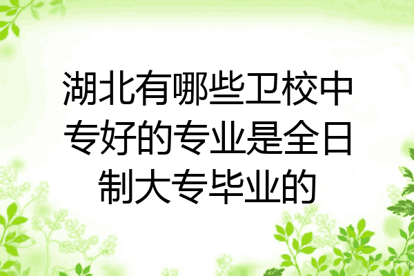 湖北有哪些卫校中专好的专业是全日制大专毕业的