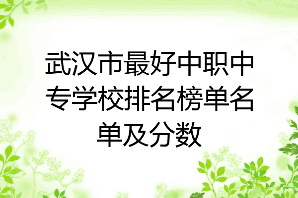 武汉市最好中职中专学校排名榜单名单及分数