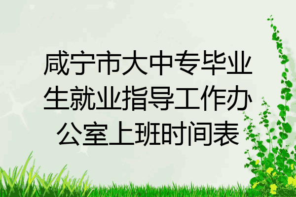 咸宁市大中专毕业生就业指导工作办公室上班时间表