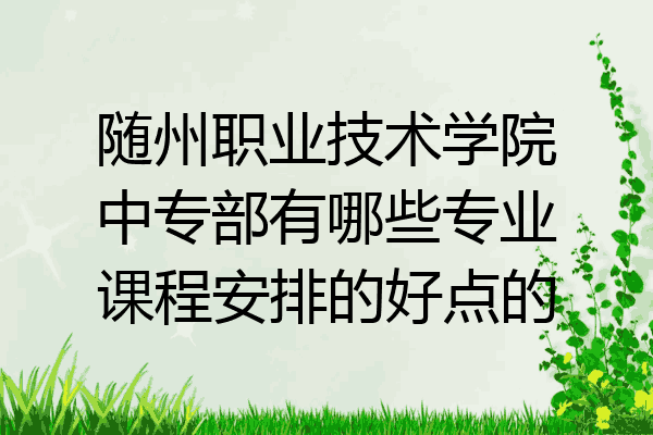 随州职业技术学院中专部有哪些专业课程安排的好点的