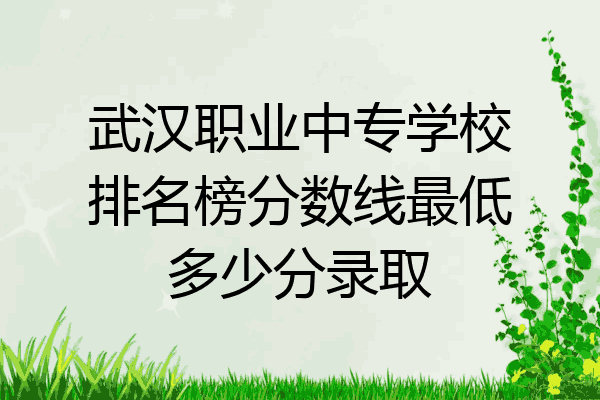 武汉职业中专学校排名榜分数线最低多少分录取