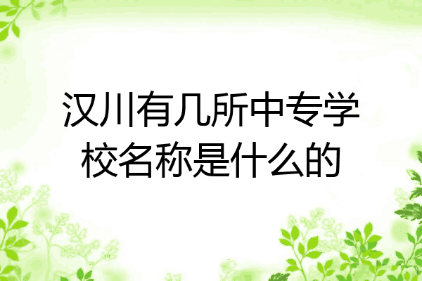 汉川有几所中专学校名称是什么的
