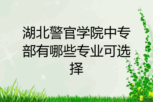 湖北警官学院中专部有哪些专业可选择