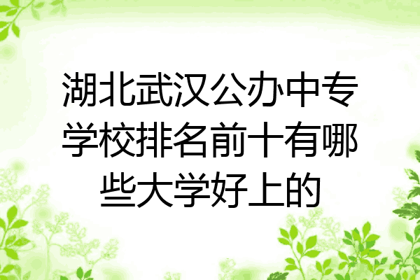 湖北武汉公办中专学校排名前十有哪些大学好上的