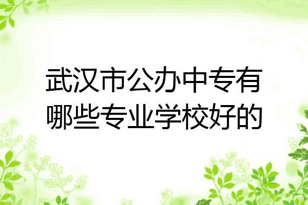 武汉市公办中专有哪些专业学校好的