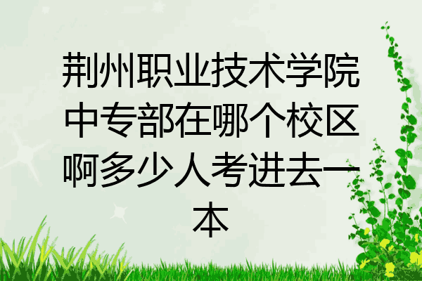 荆州职业技术学院中专部在哪个校区啊多少人考进去一本