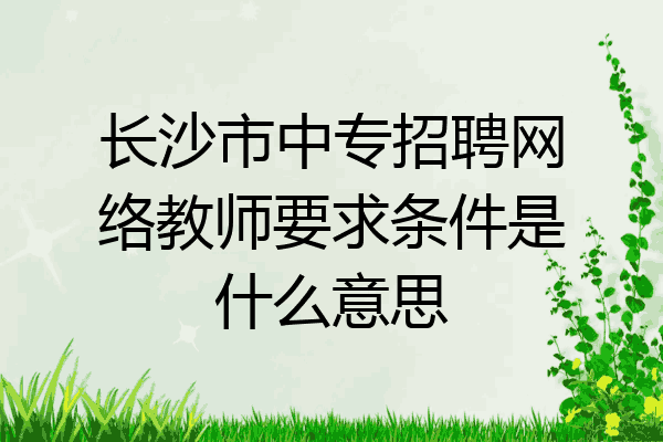 长沙市中专招聘网络教师要求条件是什么意思