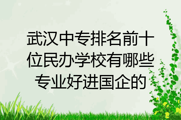 武汉中专排名前十位民办学校有哪些专业好进国企的