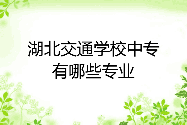 湖北交通学校中专有哪些专业