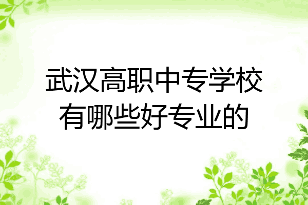 武汉高职中专学校有哪些好专业的