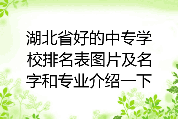 湖北省好的中专学校排名表图片及名字和专业介绍一下