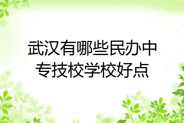 武汉有哪些民办中专技校学校好点