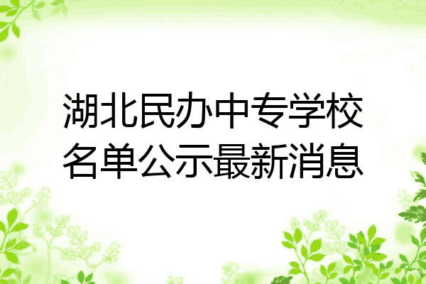 湖北民办中专学校名单公示最新消息