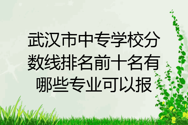 武汉市中专学校分数线排名前十名有哪些专业可以报