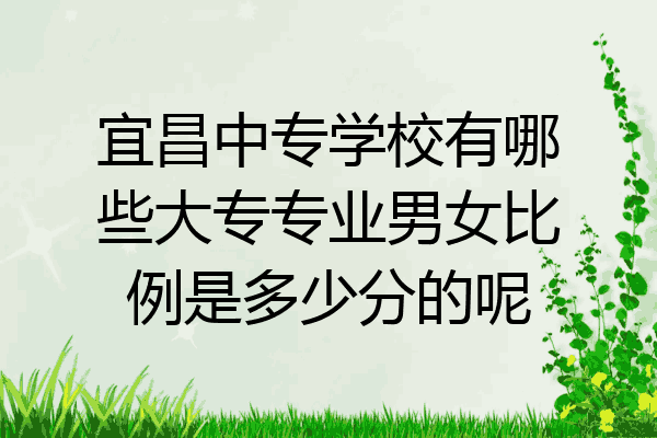 宜昌中专学校有哪些大专专业男女比例是多少分的呢