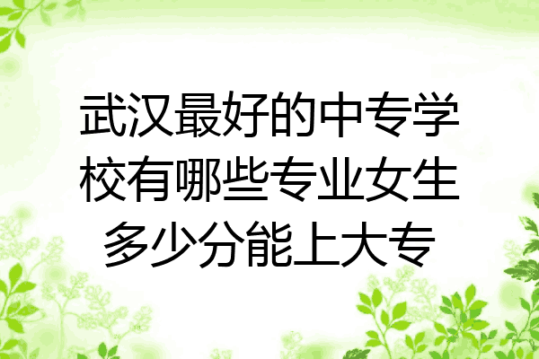武汉最好的中专学校有哪些专业女生多少分能上大专