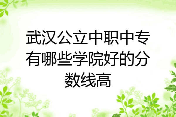 武汉公立中职中专有哪些学院好的分数线高