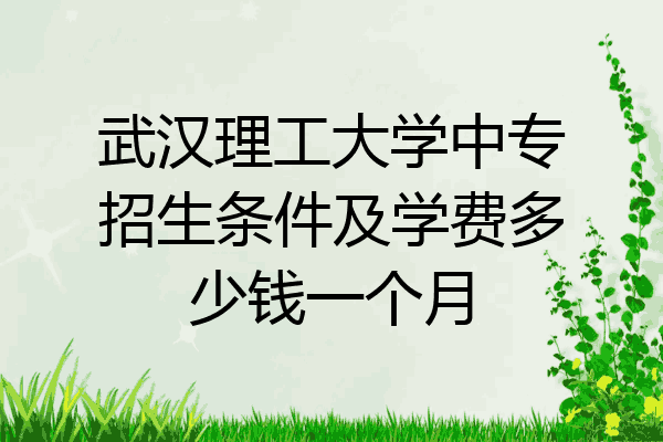 武汉理工大学中专招生条件及学费多少钱一个月