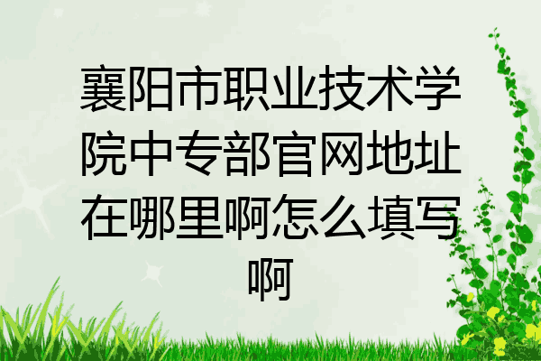 襄阳市职业技术学院中专部官网地址在哪里啊怎么填写啊