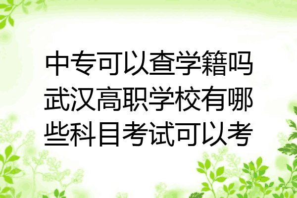 中专可以查学籍吗武汉高职学校有哪些科目考试可以考