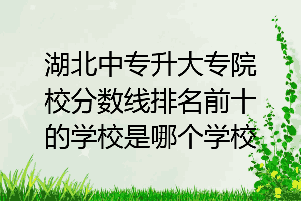 湖北中专升大专院校分数线排名前十的学校是哪个学校