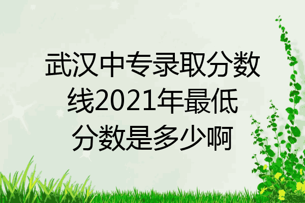 武汉中专录取分数线2021年最低分数是多少啊