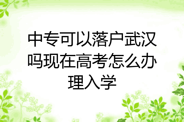中专可以落户武汉吗现在高考怎么办理入学