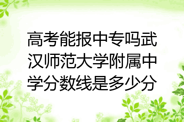 高考能报中专吗武汉师范大学附属中学分数线是多少分