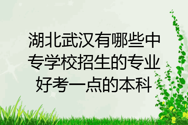 湖北武汉有哪些中专学校招生的专业好考一点的本科