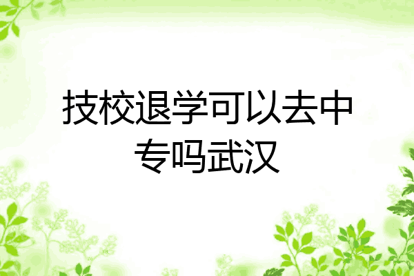 技校退学可以去中专吗武汉