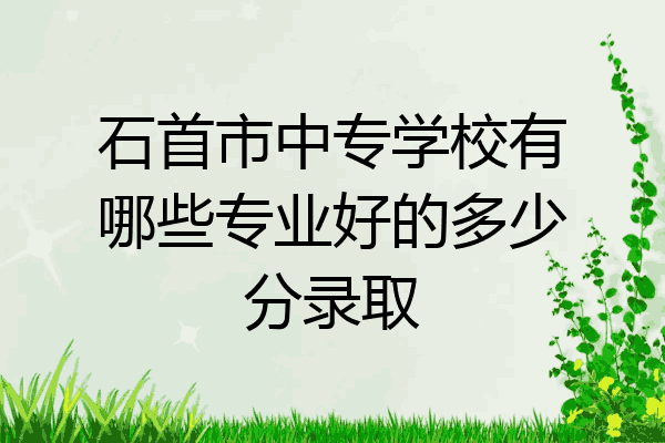 石首市中专学校有哪些专业好的多少分录取