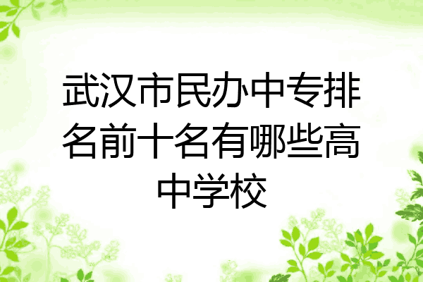 武汉市民办中专排名前十名有哪些高中学校