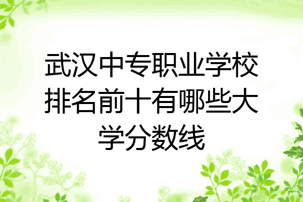 武汉中专职业学校排名前十有哪些大学分数线