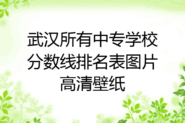 武汉所有中专学校分数线排名表图片高清壁纸