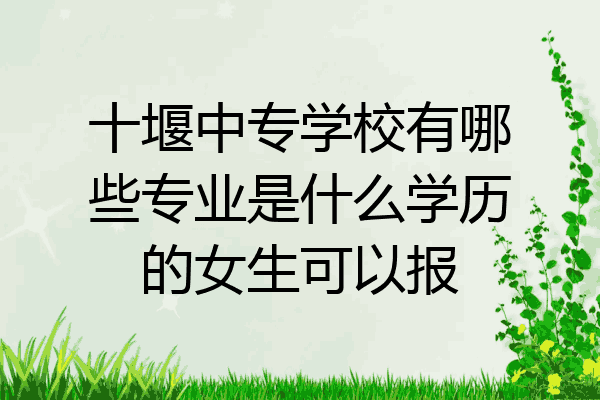 十堰中专学校有哪些专业是什么学历的女生可以报