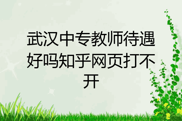武汉中专教师待遇好吗知乎网页打不开